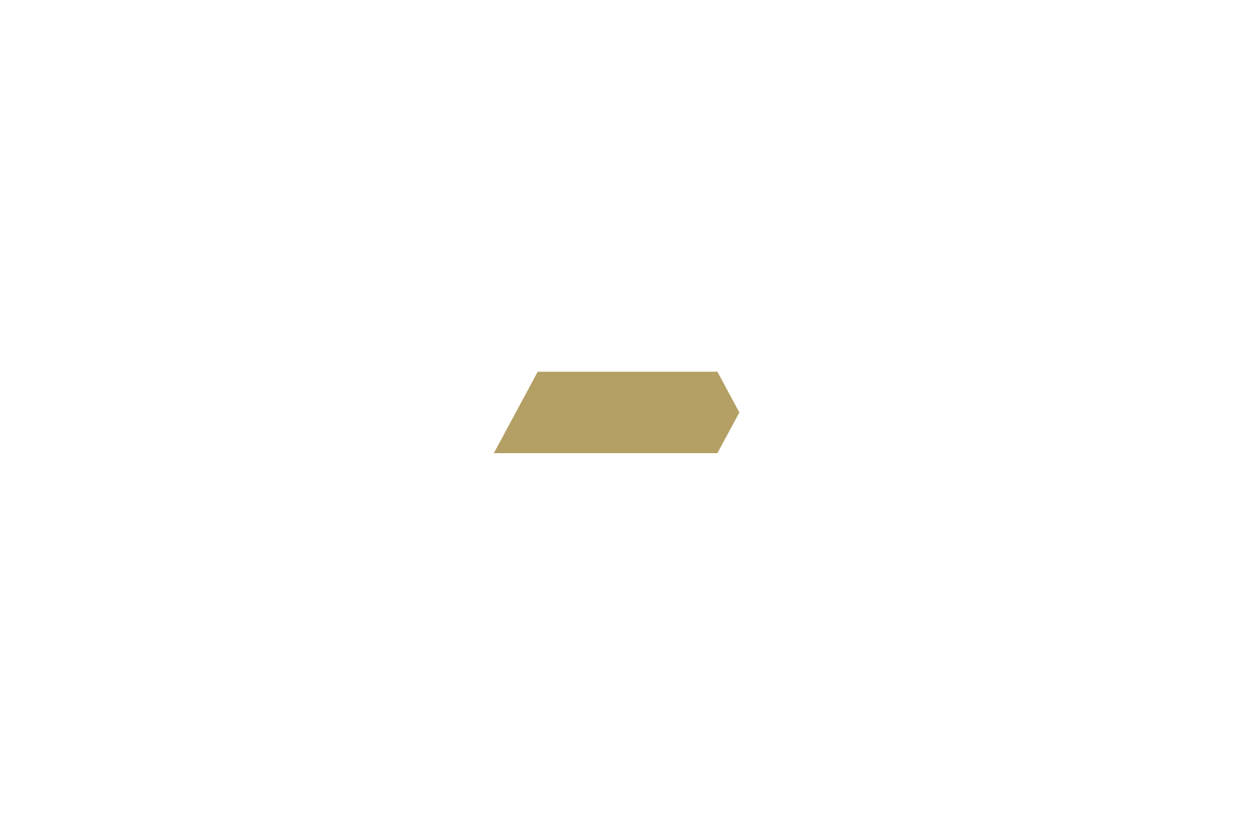 V-Ex